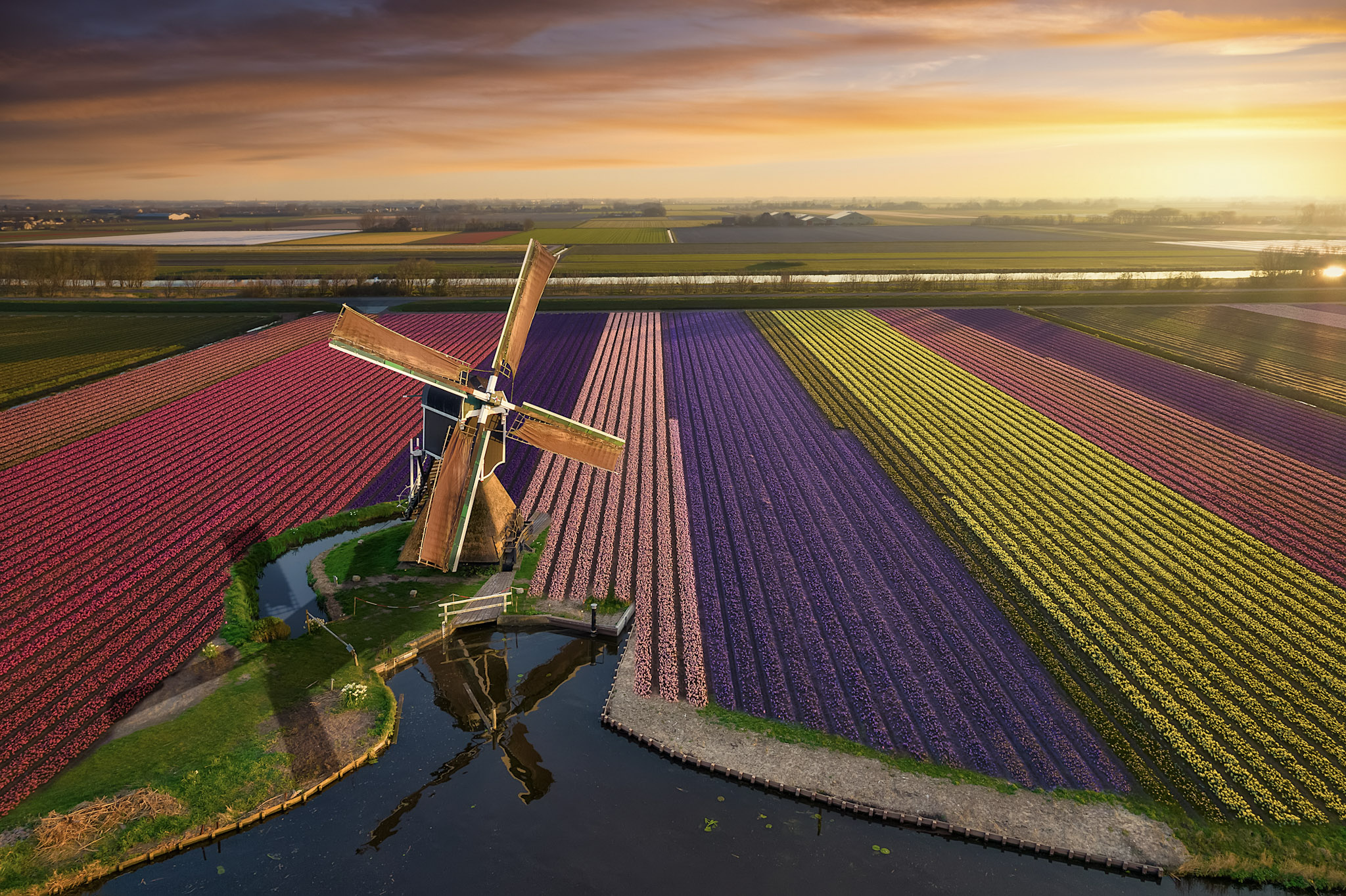 color full wind mill