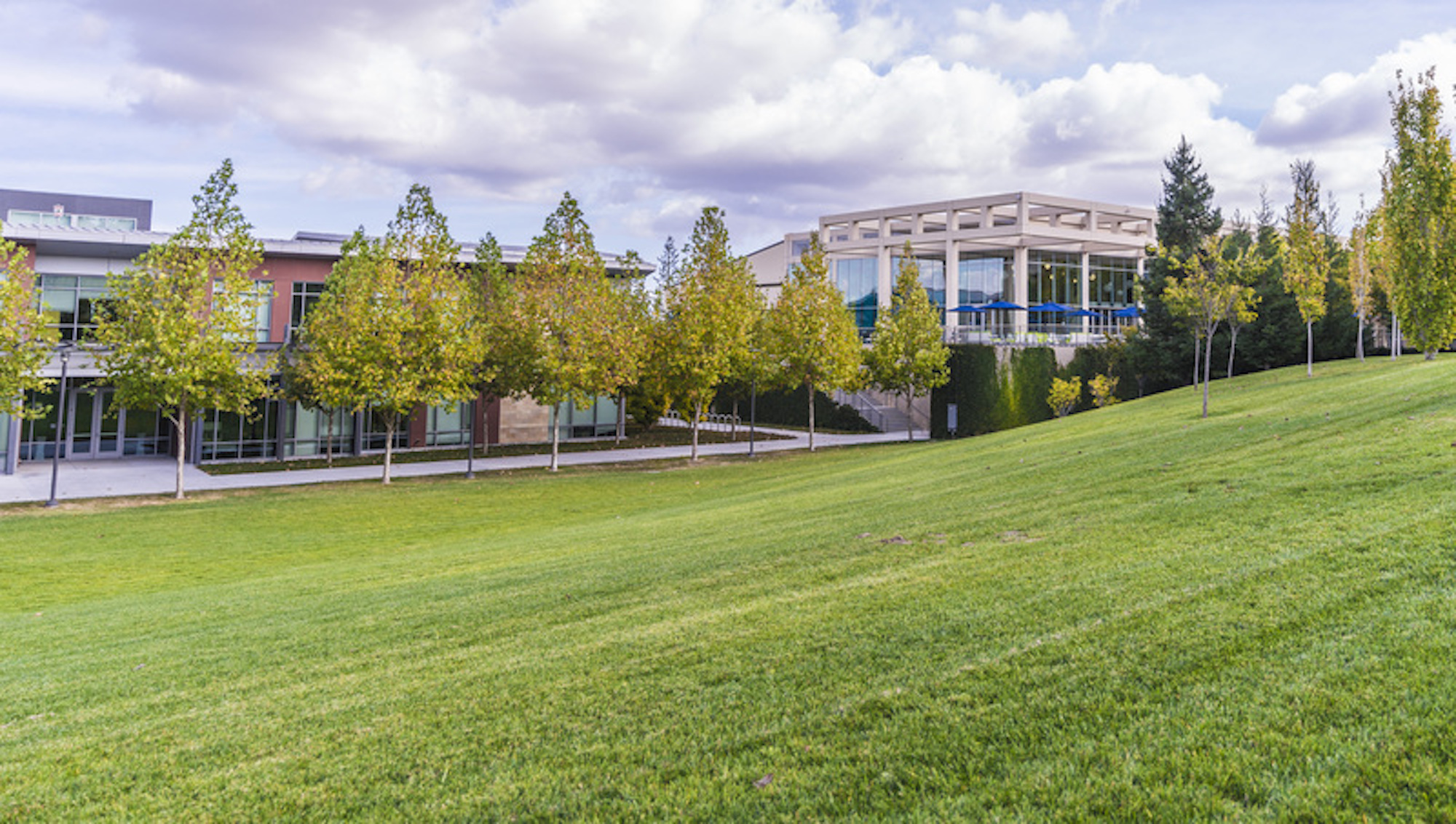 View of VMware Campus