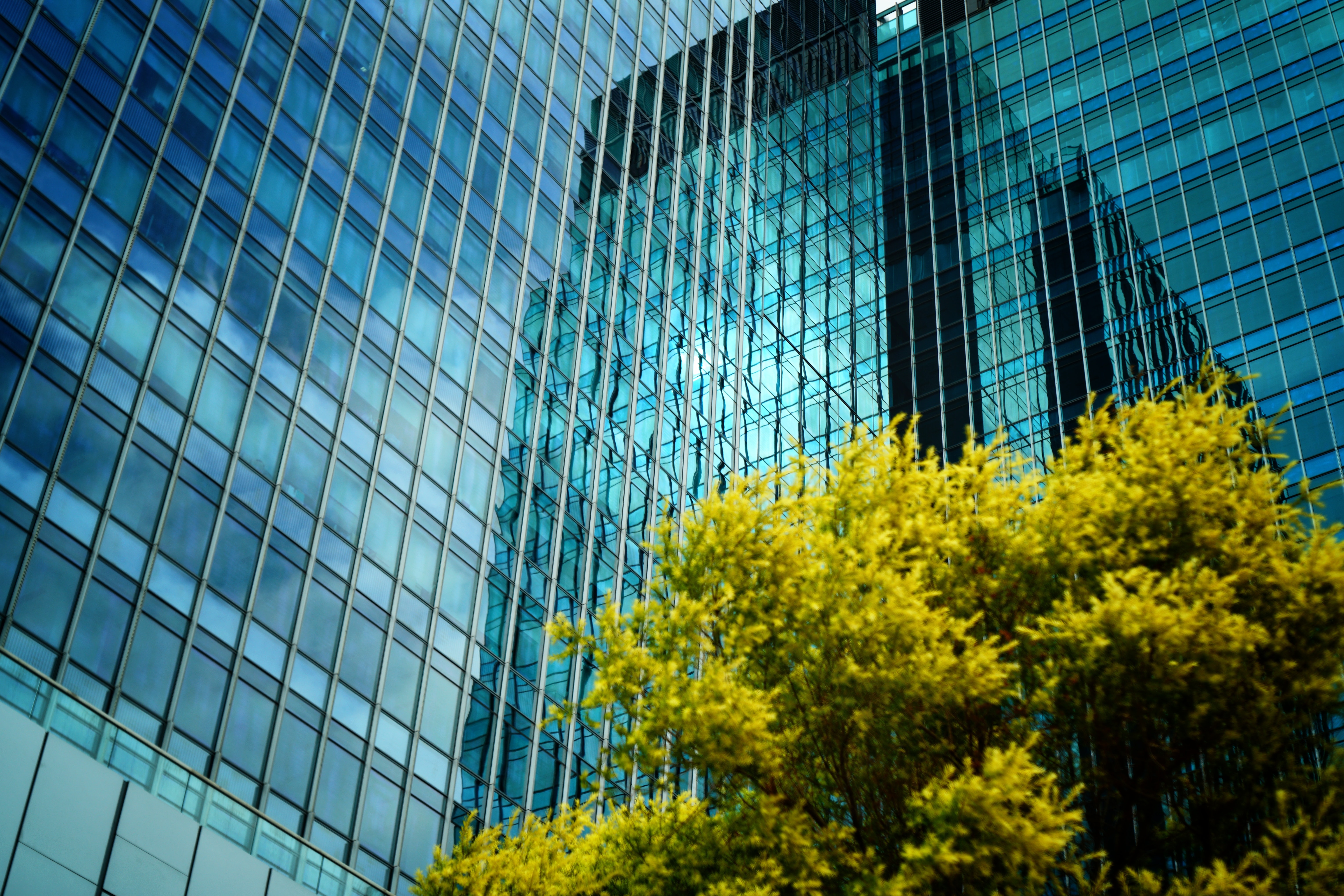 Side of Building with tree in foreground